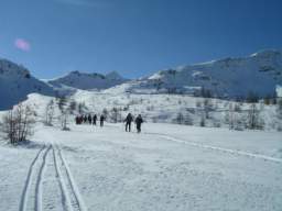 081124_A_siamo in 34.JPG